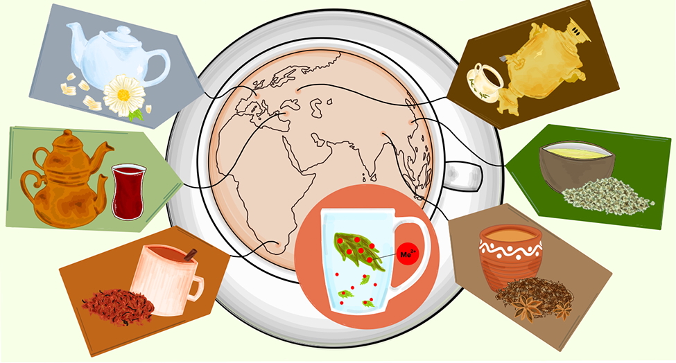 Graphical abstract from Brewing Clean Water: The Metal-Remediating Benefits of Tea Preparation. Published in ACS Food Science & Technology 2025, 5, 3, 928–933.
